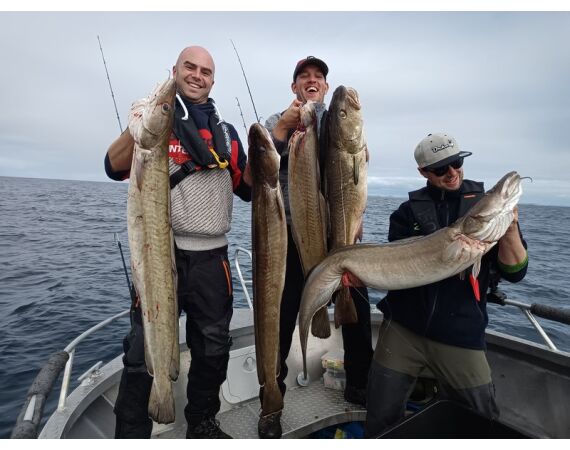 Rien de Wolf Noorwegen festival mei 2026