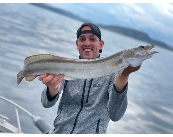 Rien de Wolf Noorwegen festival mei 2026