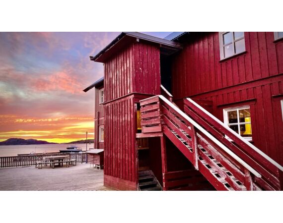 Rien de Wolf Noorwegen festival mei 2026