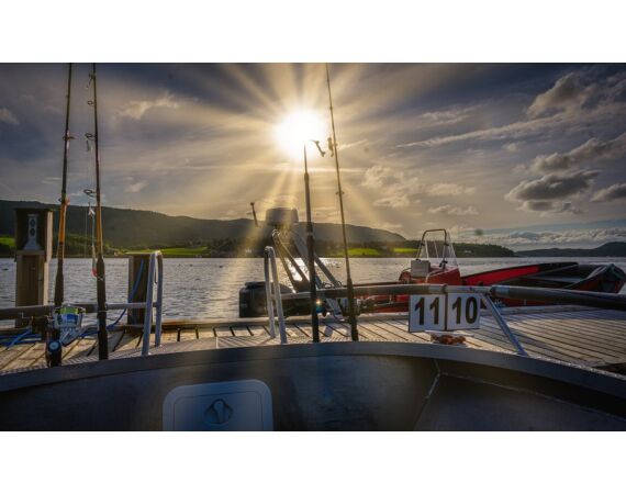 Rien de Wolf Noorwegen festival mei 2026