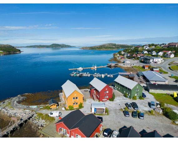 Rien de Wolf Noorwegen festival mei 2026