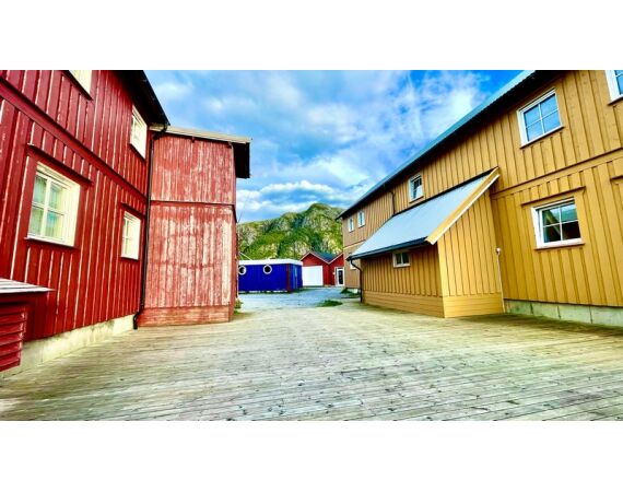 Rien de Wolf Noorwegen festival mei 2026