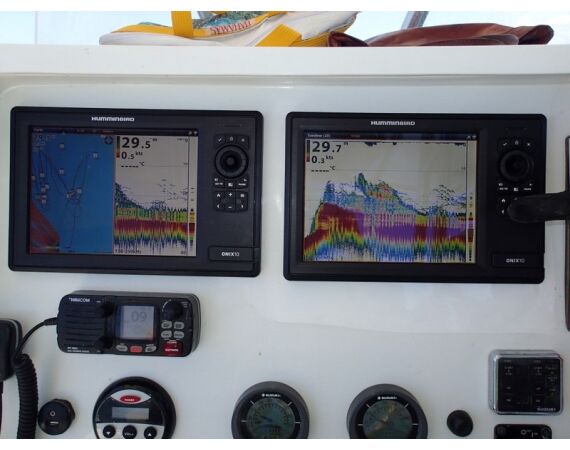 Fauna goes Madagascar! jan 27