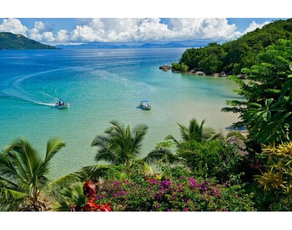 Fauna goes Madagascar! jan 27