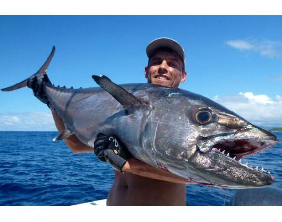 Fauna goes Madagascar! jan 27