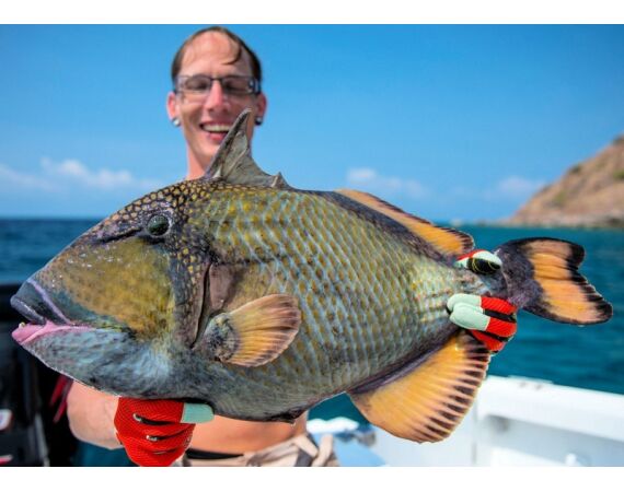 Fauna goes Madagascar! jan 27