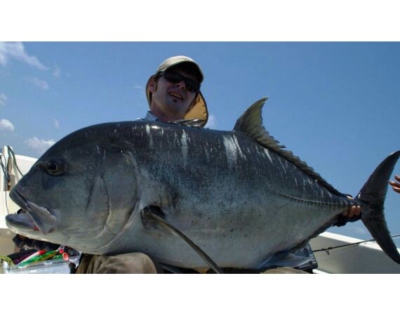 Fauna goes Madagascar! jan 27