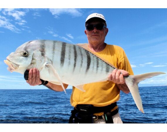 Fauna goes Madagascar! jan 27