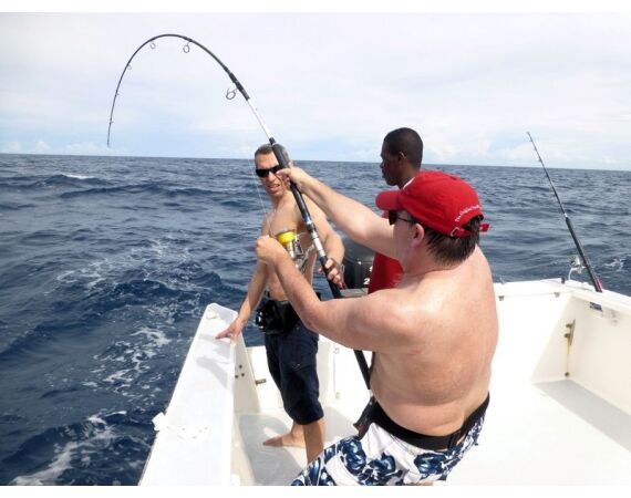 Fauna goes Madagascar! jan 27