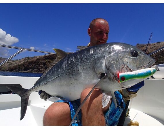 Fauna goes Madagascar! jan 27