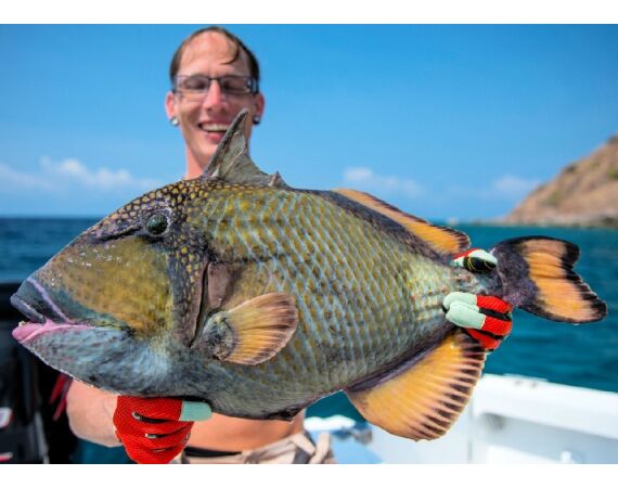 Volkmar goes Madagascar! dec 26