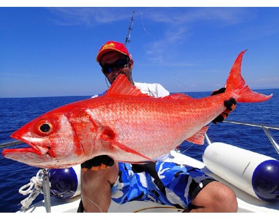 Volkmar goes Madagascar! dec 26