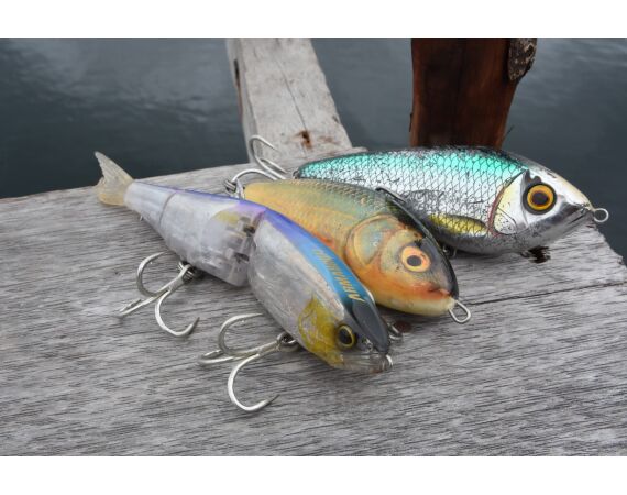 Expeditie Papua okt 27