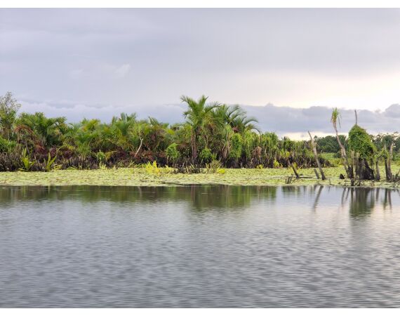 Expeditie Papua okt 27