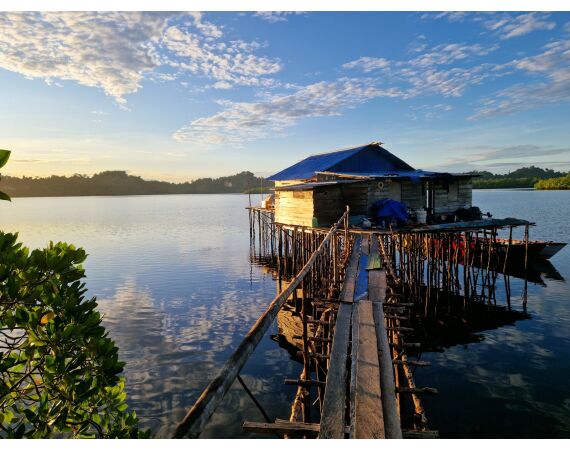 Expeditie Papua okt 27