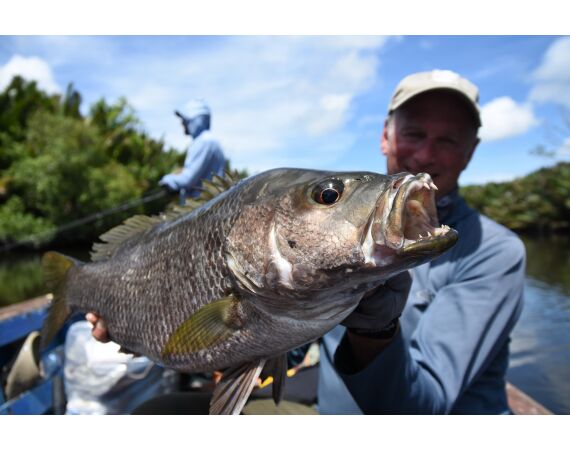 Expeditie Papua okt 27