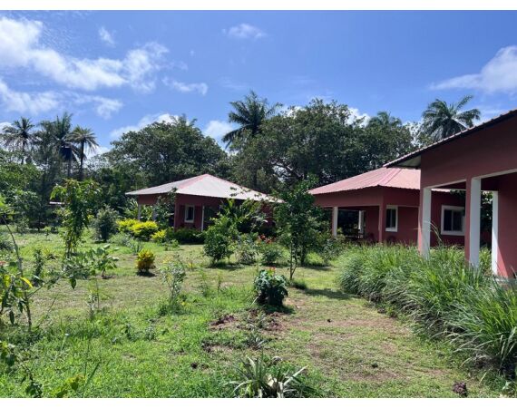 Guinee Bissau groep nov 26