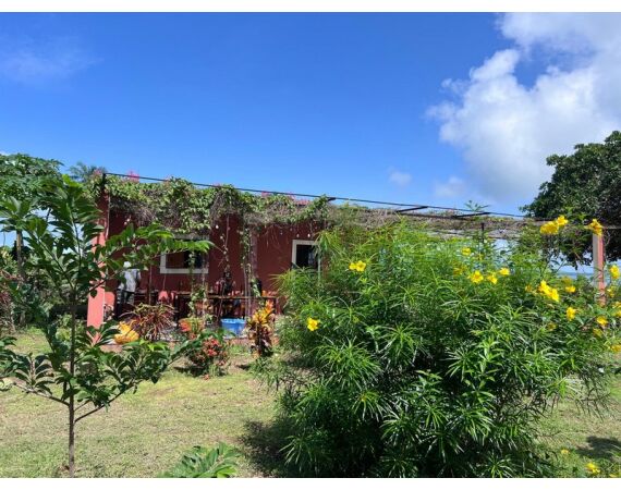 Guinee Bissau groep nov 26