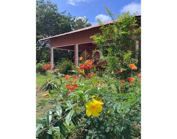 Guinee Bissau groep nov 26