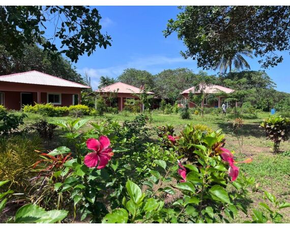 Guinee Bissau groep nov 26