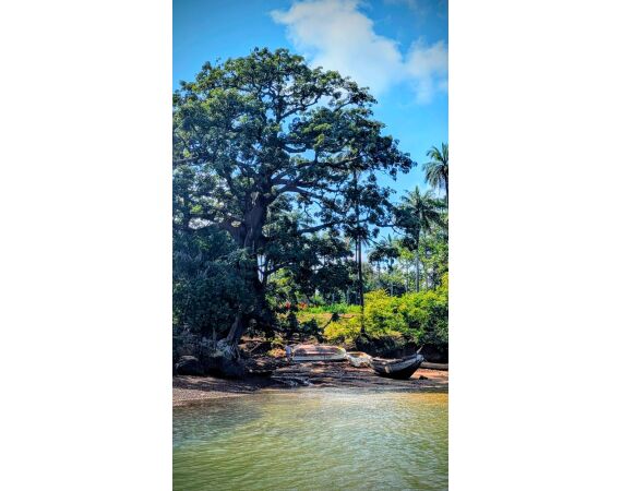 Guinee Bissau groep nov 26