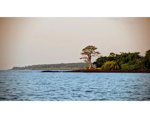 Guinee Bissau groep nov 26