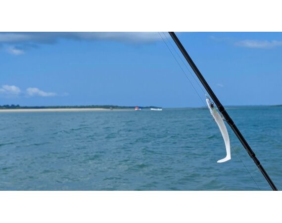 Guinee Bissau groep nov 26