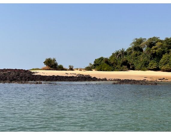 Guinee Bissau groep nov 26