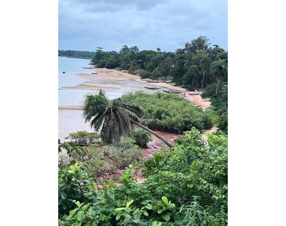 Guinee Bissau groep nov 26