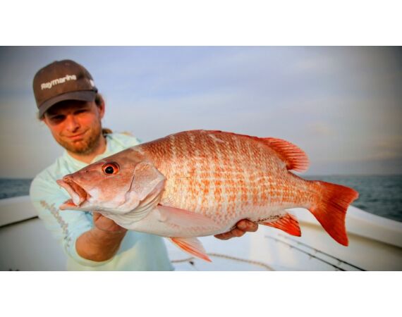 Guinee Bissau groep nov 26