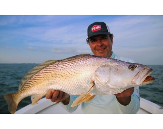 Guinee Bissau groep nov 26