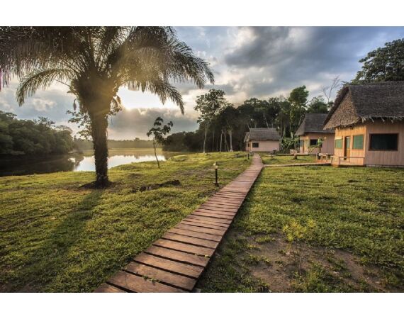 Arapaima Bolivia sep 2027