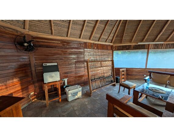 Arapaima Bolivia sep 2027