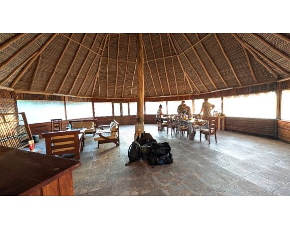 Arapaima Bolivia sep 2027