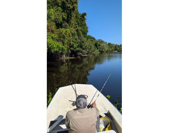 Arapaima Bolivia sep 2027