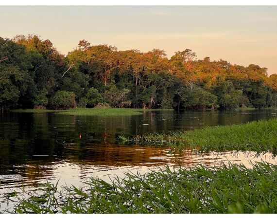 Arapaima Bolivia sep 2027