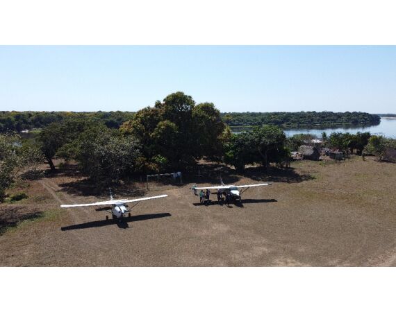 Arapaima Bolivia sep 2027