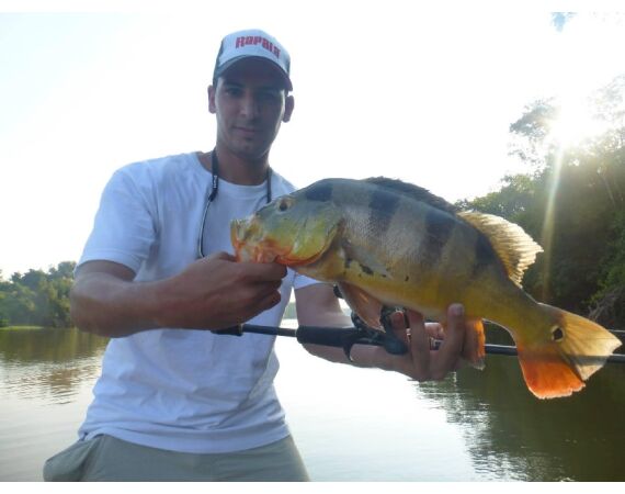 Arapaima Bolivia sep 2027