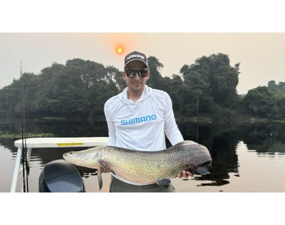 Arapaima Bolivia sep 2027