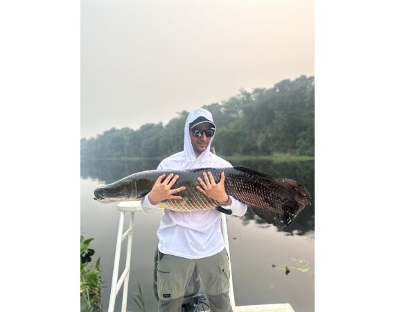 Arapaima Bolivia sep 2027
