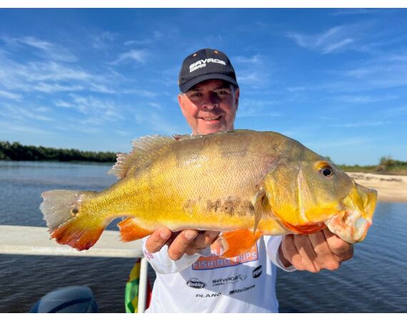 Arapaima Bolivia sep 2027
