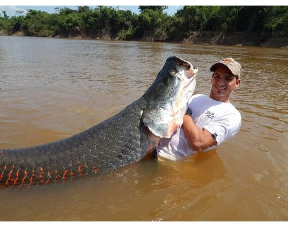 Arapaima Bolivia sep 2027