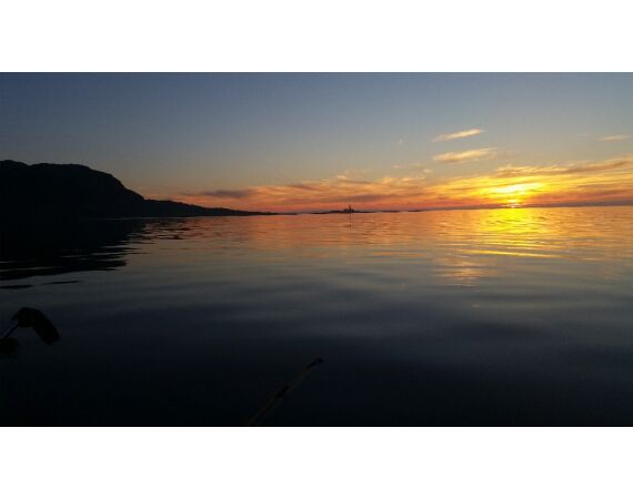 Nipro Noorwegen Festival sep 2027