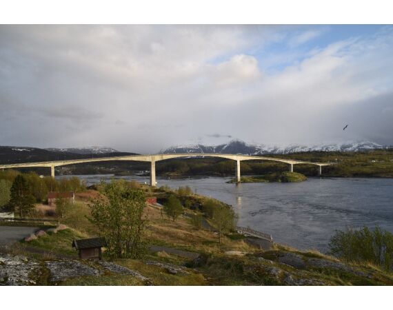 Nipro Noorwegen Festival sep 2027