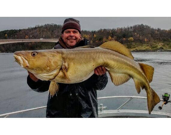 Nipro Noorwegen Festival sep 2027