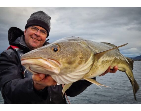 Nipro Noorwegen Festival sep 2027