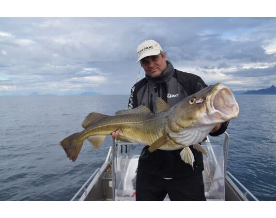 Nipro Noorwegen Festival sep 2027