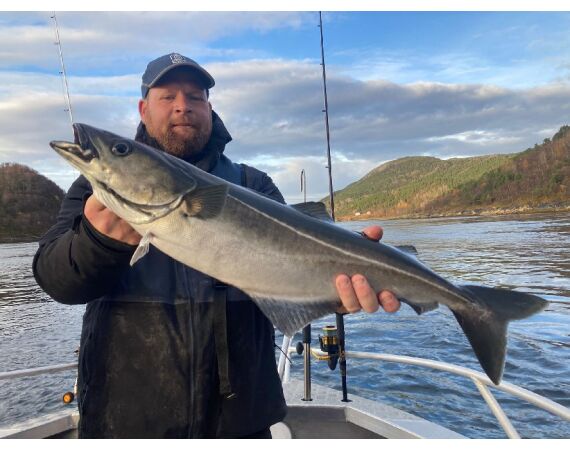 Nipro Noorwegen Festival sep 2027