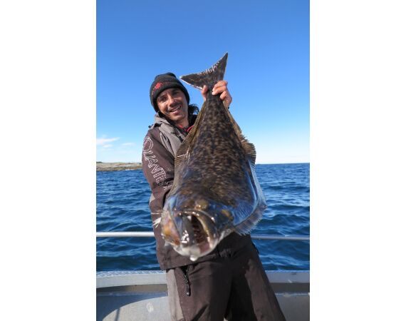 Nipro Noorwegen Festival sep 2027