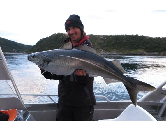 Nipro Noorwegen Festival sep 2027